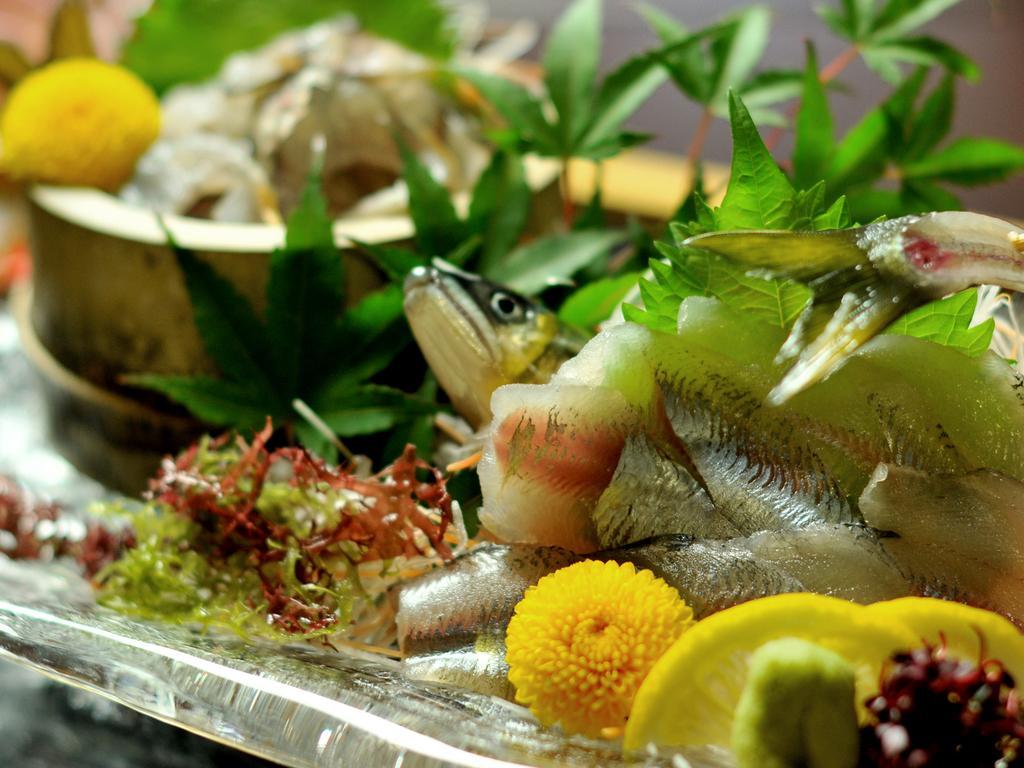 Hitoyoshi Ryokan Dış mekan fotoğraf